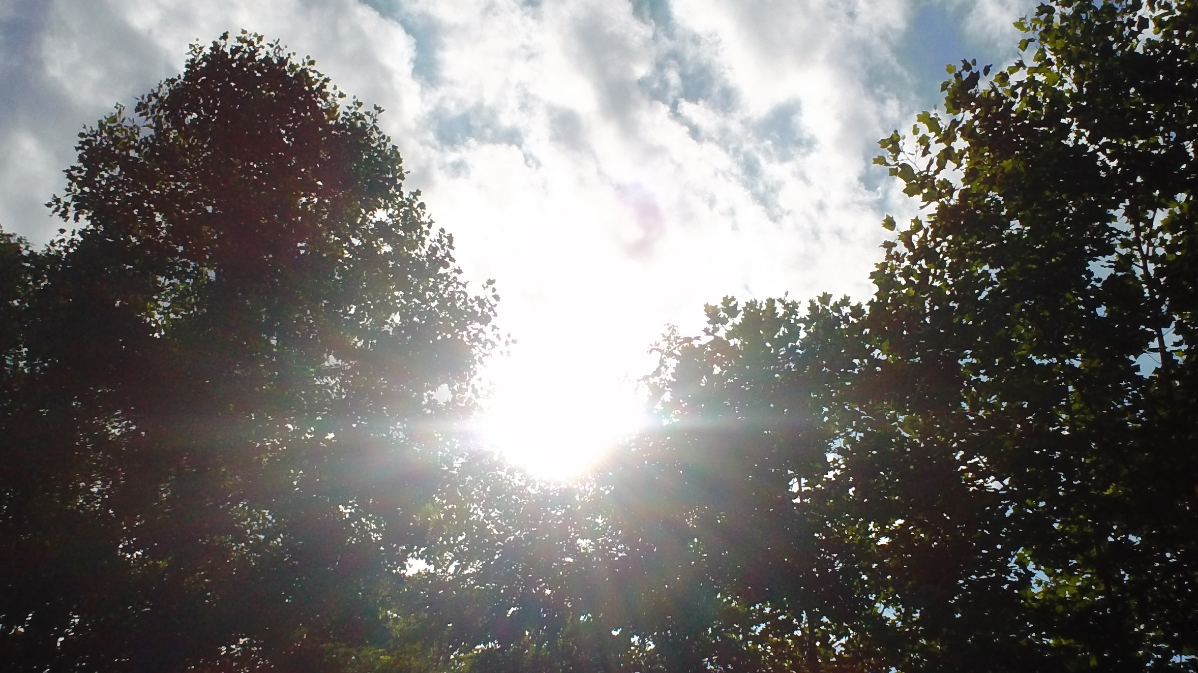 Blinding light